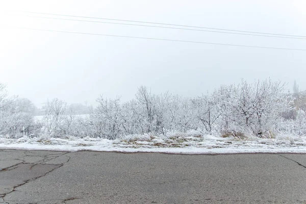 Paysage Brumeux Avec Neige Arbres Enneigés — Photo