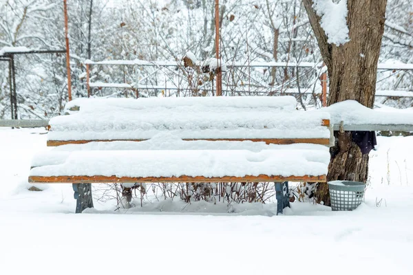snow covered bench, bench in the snow