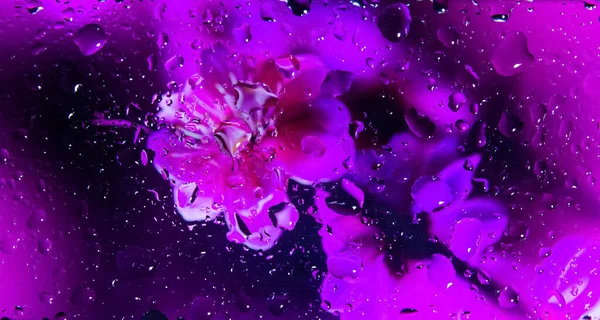 抽象的彩色背景 带有气泡的抽象彩色背景 玻璃杯上的水滴 带有水滴的彩色花卉背景 色彩艳丽的抽象墙纸 — 图库照片