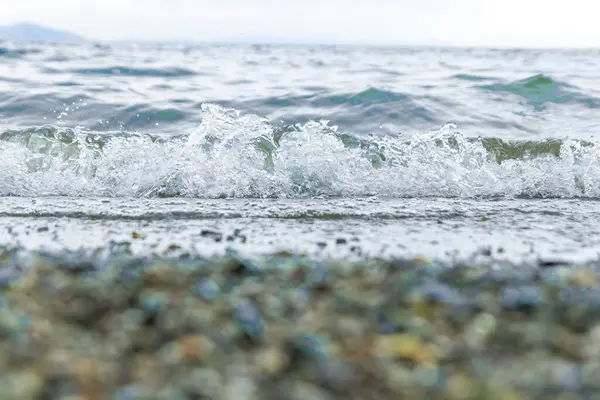 Wassertropfen Strand Nahaufnahme Eines Sandes Strand — Stockfoto