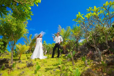 mutlu gelin ve damat bir tropik bahçe altında eğleniyor 
