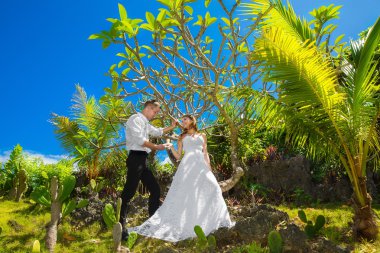 mutlu gelin ve damat bir tropik bahçe altında eğleniyor 