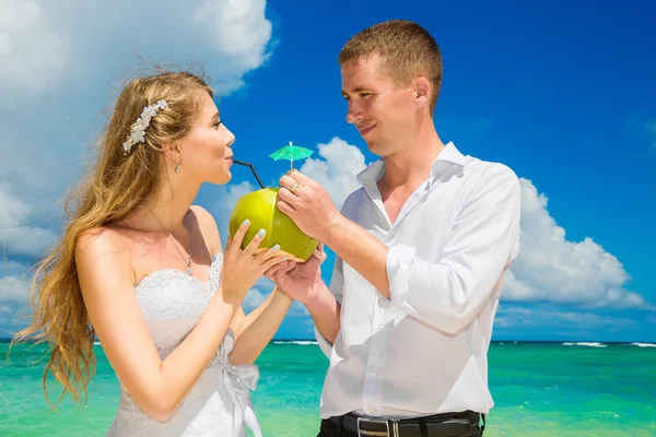 Gelukkige bruid en bruidegom drinken kokosnoot water en plezier op een tr — Stockfoto