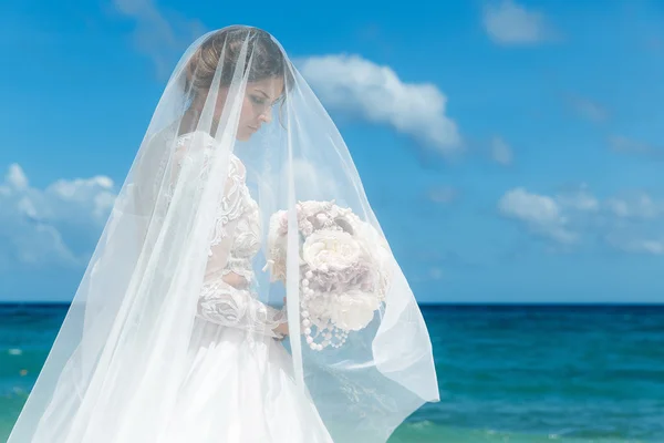 Beautiful brunette fiancee in white wedding dress with big long — Stock Photo, Image