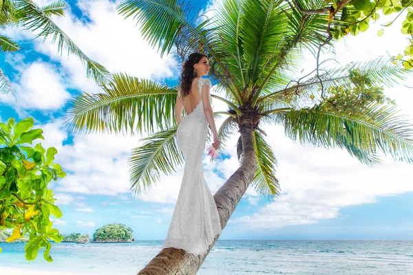 에 팜 나무에 하얀 웨딩에서 젊은 아름 다운 신부 드레스 — 스톡 사진