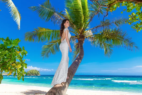 年轻美丽的新娘，在白色的婚纱礼服在棕榈树上上 — 图库照片
