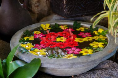 Dekoratif renkli egzotik çiçekler su Spa-salonları için