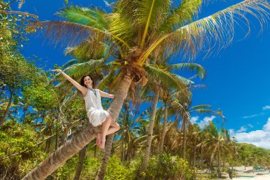 Tropikal bir plajda palmiye ağacı üzerinde genç güzel gelin. Trop