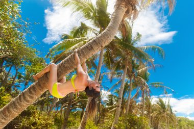 Genç güzel kız bikini üzerinde bir tropikal palmiye ağacı üzerinde