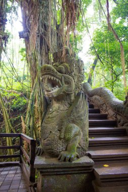 Kutsal Maymun Ormanı 'nda Stutue, Ubud, Bali, Endonezya