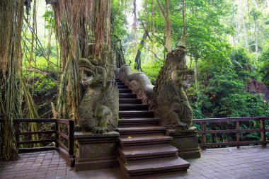 Kutsal Maymun Ormanı 'nda Stutue, Ubud, Bali, Endonezya