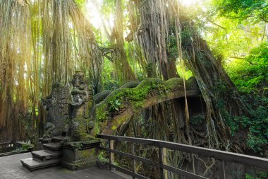 Kutsal Maymun Ormanı 'nda Stutue, Ubud, Bali, Endonezya
