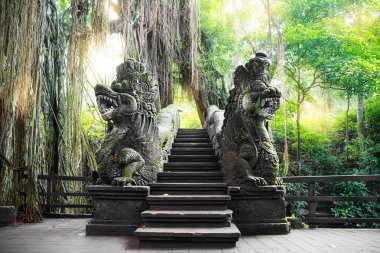 Kutsal Maymun Ormanı 'nda Stutue, Ubud, Bali, Endonezya