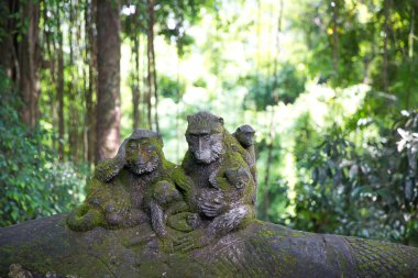 Kutsal Maymun Ormanı 'nda Stutue, Ubud, Bali, Endonezya