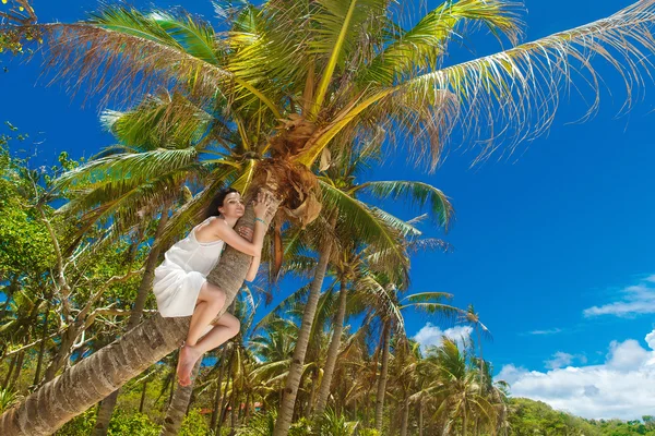 Joven novia hermosa en la palmera en una playa tropical. Trop. —  Fotos de Stock