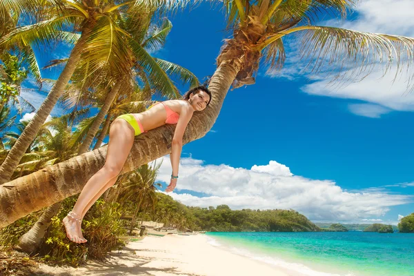 Genç güzel kız bikini üzerinde bir tropikal palmiye ağacı üzerinde — Stok fotoğraf