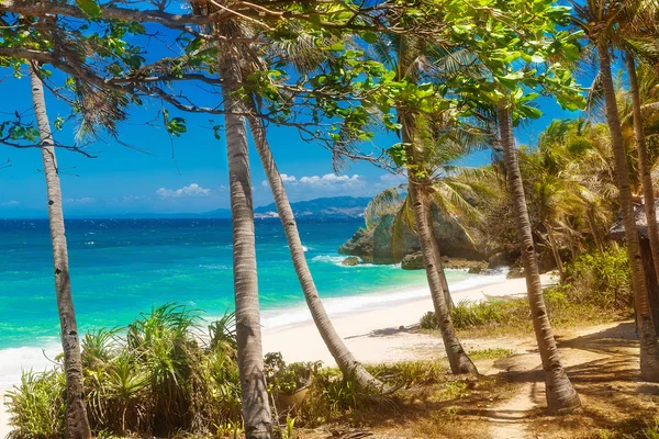 Tropikalny piaszczystej plaży z palmami, wakacje — Zdjęcie stockowe