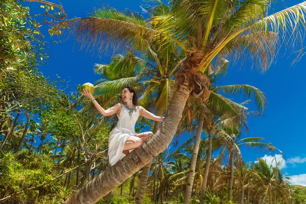 Giovane bella sposa con cocco sulla palma su una tropica — Foto Stock