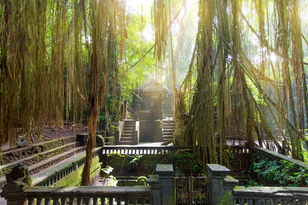 Stutue in Sacred Monkey Forest, Ubud, Bali, Indonésie — Stock fotografie