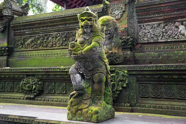 Estudiar en el bosque sagrado de monos, Ubud, Bali, Indonesia. — Foto de Stock