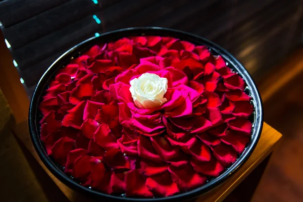 White roser with red rose petals in the bowl in Balinese SPA sal — Stock Photo, Image