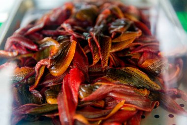 Tainan, Tayvan, 12 Ekim 2019 Geleneksel Tayvan sokak yemekleri gece pazarında