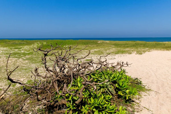 Spiaggia Tropicale Sabbiosa Sull Isola Penghu Pescadores Taiwan — Foto Stock