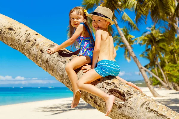 Little Boy Girl Having Fun Coconut Tree Sandy Tropical Beach — Stock Photo, Image