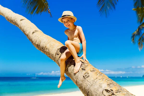 지푸라기 모자를 모래가 해변에서 코코넛 위에서 재미있게 여행과 휴가라는 — 스톡 사진