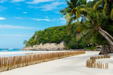 Beyaz kumlu tropik plajın üzerinde güzel bir palmiye ağacı. Arka planda Sea ve Boracay adaları var. Yaz doğa görünümü.