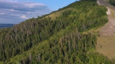 İnsansız hava aracından, Volga Nehri 'nin su alanındaki dağ ormanının üzerinden araziye doğru giden hava görüntüsü. Rusya 'nın orta bandosunda yaz tatili kavramı.