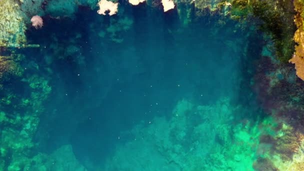 Vista Aérea Desde Dron Que Mueve Hacia Paisaje Sobre Bosque — Vídeo de stock