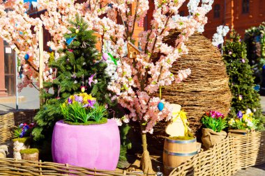 Mavi bahar gökyüzüne karşı kiraz çiçeği dalından sarkan renkli Paskalya yumurtası. Bahar tatilleri için şehrin sokak dekorasyonunun kutlaması. Mutlu Paskalyalar.