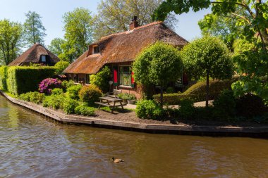Giethoorn, Hollanda, 30 Mayıs 2021. Hollanda 'nın ünlü köyü Giethoorn geleneksel Hollanda evleri, bahçeleri, su kanalları ve ahşap köprüleri ile 