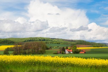 Alman kırsalının manzarası. Tarım alanları, köyler ve ormanlık alanlar.