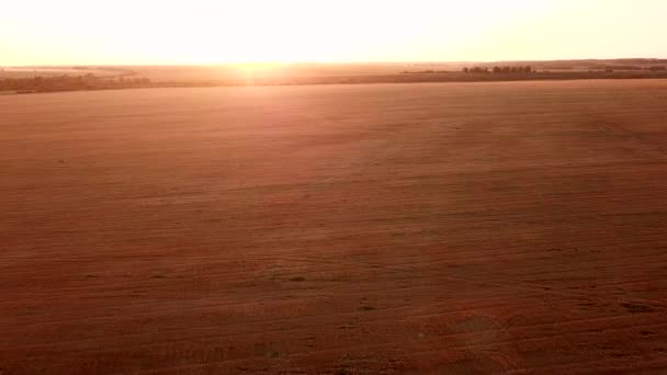 Aerial View Drone Chamfered Field Haystacks Harvesting Grain Crops Sunset — Stock Video