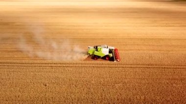 İnsansız hava aracından ziraat makinesine kadar uzanan hava görüntüsü gün batımında altın olgun buğday tarlası hasat ediyor. Tarım makinelerinin tarım endüstrisinde tahıl hasadında kullanımı ve