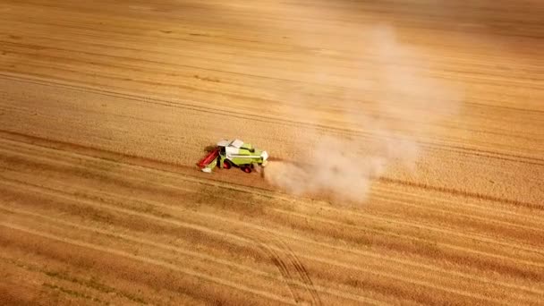 Vista aérea do drone para uma máquina de combinar a colheita agrícola campo de trigo maduro dourado ao pôr do sol. O conceito de utilização de máquinas agrícolas na colheita de grãos na indústria agrícola e — Vídeo de Stock