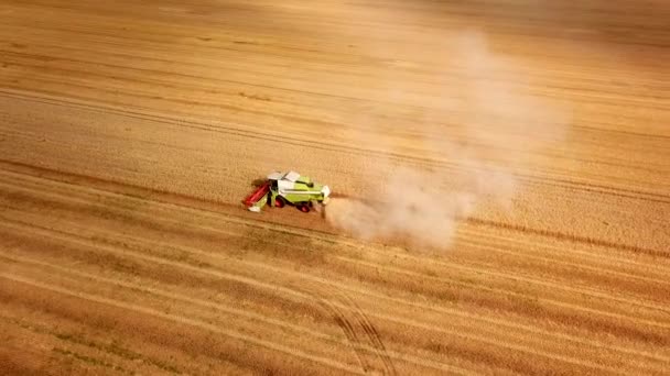 Luftfoto fra dronen til en mejetærsker, der høster gylden, moden hvedemark ved solnedgang. Begrebet anvendelse af landbrugsmaskiner i kornhøst i landbrugsindustrien og – Stock-video