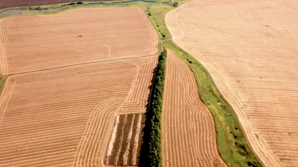 4k Vista aérea do drone de um campo chanfrado e palheiros após a colheita de grãos, um rio e um campo arado ao pôr do sol. O conceito de colheita de grãos na indústria agrícola e — Vídeo de Stock