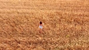 Genç ve güzel bir kız gün batımında altın olgun buğday tarlasında yürüyor..
