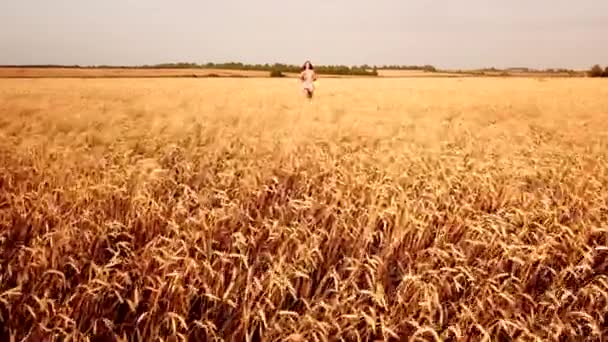 Молодая Красивая Девушка Идет Золотом Спелом Пшеничном Поле Закате — стоковое видео