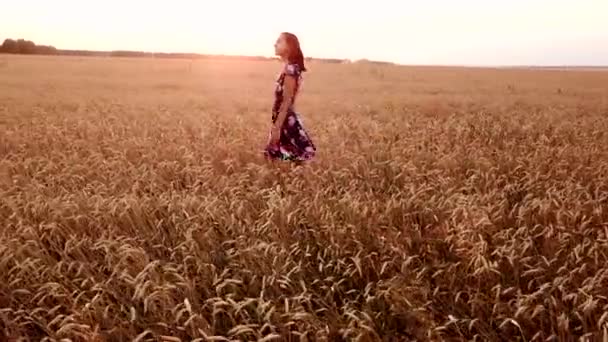 Mladá Krásná Dívka Kráčí Zlatém Zralém Pšeničném Poli Při Západu — Stock video