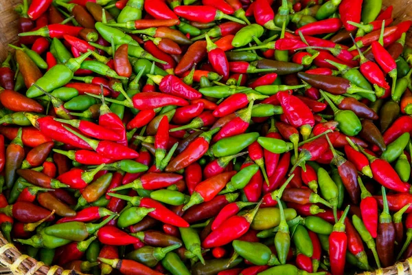 Pimentos de caiena vermelhos Capsicum annuum no mercado asiático de rua. Também conhecido como especiaria da Guiné, pimentão de chifre de vaca, pimenta vermelha, aleva, pimenta de pássaro, pimentos verdes, pimentões encaracolados — Fotografia de Stock