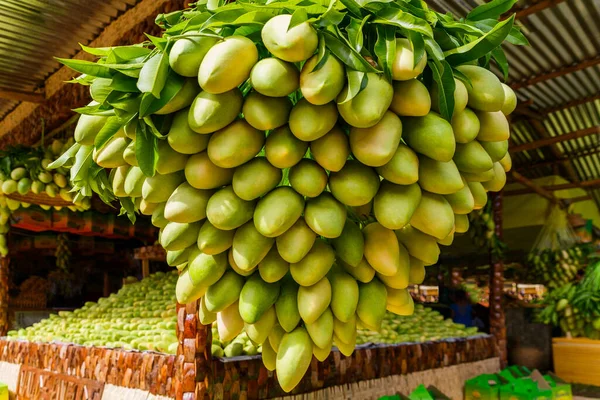 Festival de mangue. Stand avec des mangues jaunes fraîches dans le marché de rue. — Photo