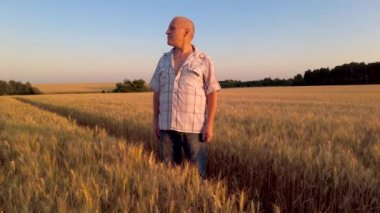 Kıdemli çiftçi gün batımında olgun buğday tarlasına bakar. Tarımda tahıl biçme kavramı