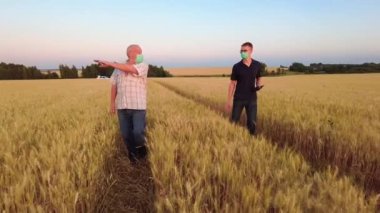 Genç ve yaşlı çiftçiler ya da yüz maskeli ziraatçiler tabletle buğday tarlasında gün batımında hasat hakkında konuşuyorlar. Virüs bulaşması salgını Corona virüsü 2019-ncov.