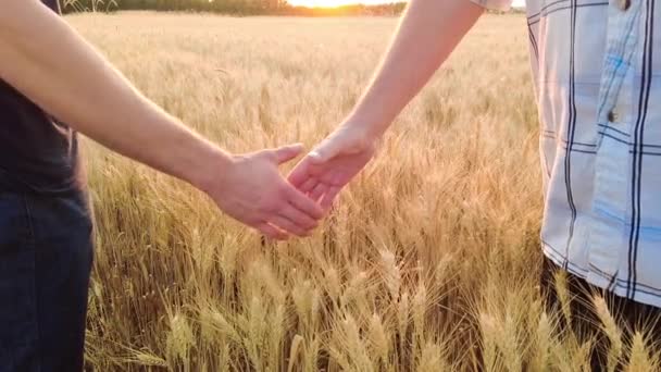 Handslag mot jordbrukare eller agronomer mot bakgrund av ett moget vetefält vid solnedgången. Långsamma rörelser — Stockvideo