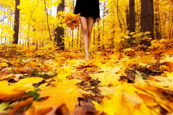 ใบไม้ร่วงฤดูใบไม้ร่วงสีเหลืองสีส้มและสีแดงในสวนฤดูใบไม้ร่วงที่สวยงาม หญิง — ภาพถ่ายสต็อก