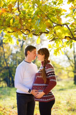 sonbahar Parkta piknik güzel genç hamile çift. ha